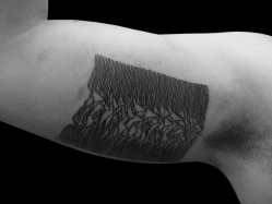 Image: Otautahi tattoo in New Zealand